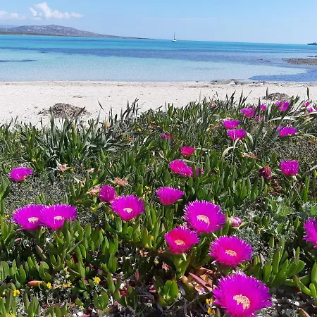Holiday home Villetta A 100 M Dal Mare *